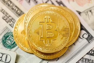 山寨币最好使用冷钱包最新榜单 山寨币冷钱包福利多市场占有率排名